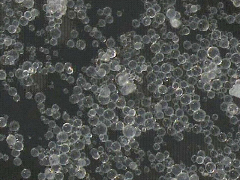 300億元400萬(wàn)噸烯烴綜合利用項(xiàng)目簽約